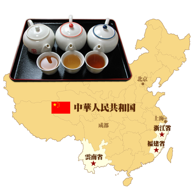 奥が深い中国茶